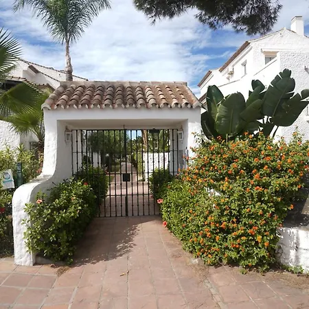 3b Virgo * Эстепона